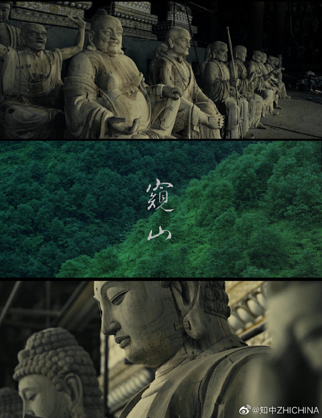 暖色候鸟航线